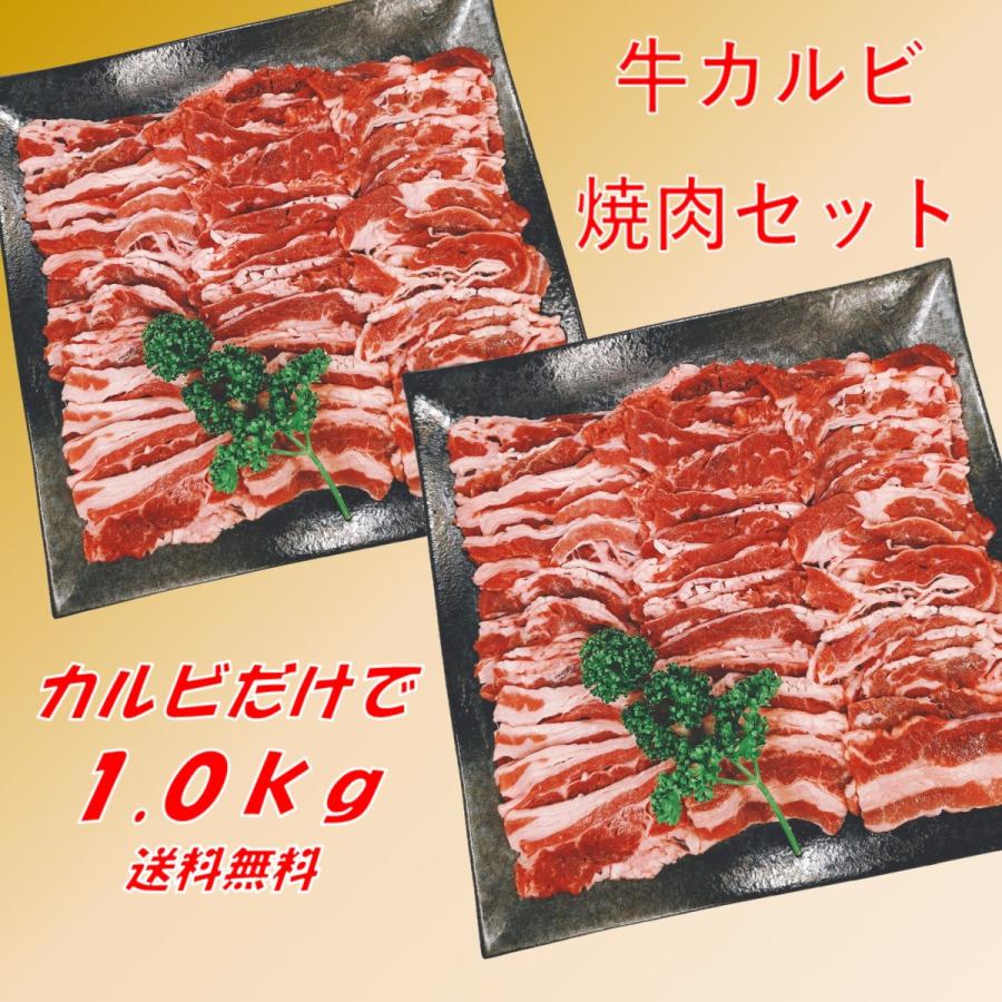 肉 バーベキュー 食材 牛肉 焼肉セット バーベキュー 肉 BBQ 肉 カルビ バラ バーベキューセット 食材 BBQ食材セット BBQ 食材 焼肉 牛丼 1kg 4〜6人前