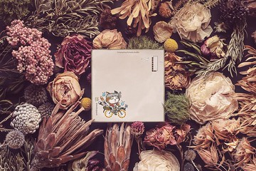 妖怪貓自行車便條紙