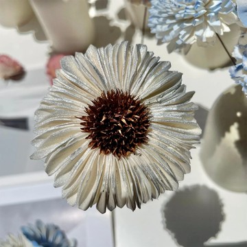 太陽花 6.5cm木漿花 10入  渲銀