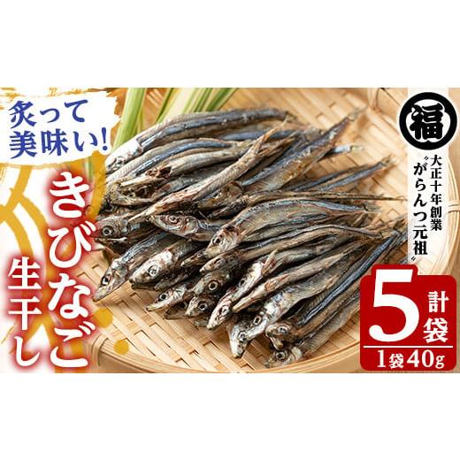 ふるさと納税 鹿児島県 阿久根市 鹿児島県阿久根市産生干し「きびなご」(計5袋・1袋40g)国産 魚介 干物 ひもの キビナゴ がらんつ干物 2-…