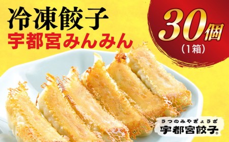 　餃子30個入