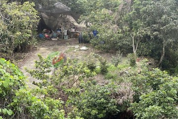 霧峰桐林國小 約2.5甲農地/山坡地-繼承.急售｜台中市霧峰區霧峰段北溝小段