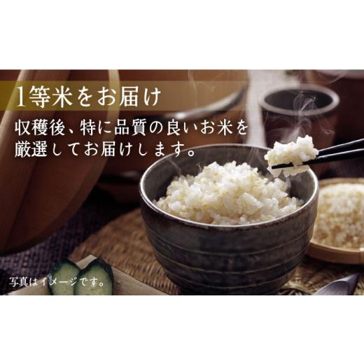 ふるさと納税 佐賀県 江北町 ＜特別栽培米 1等米 玄米＞令和5年産 新米 江北町産 夢しずく 5kg[HAJ015]