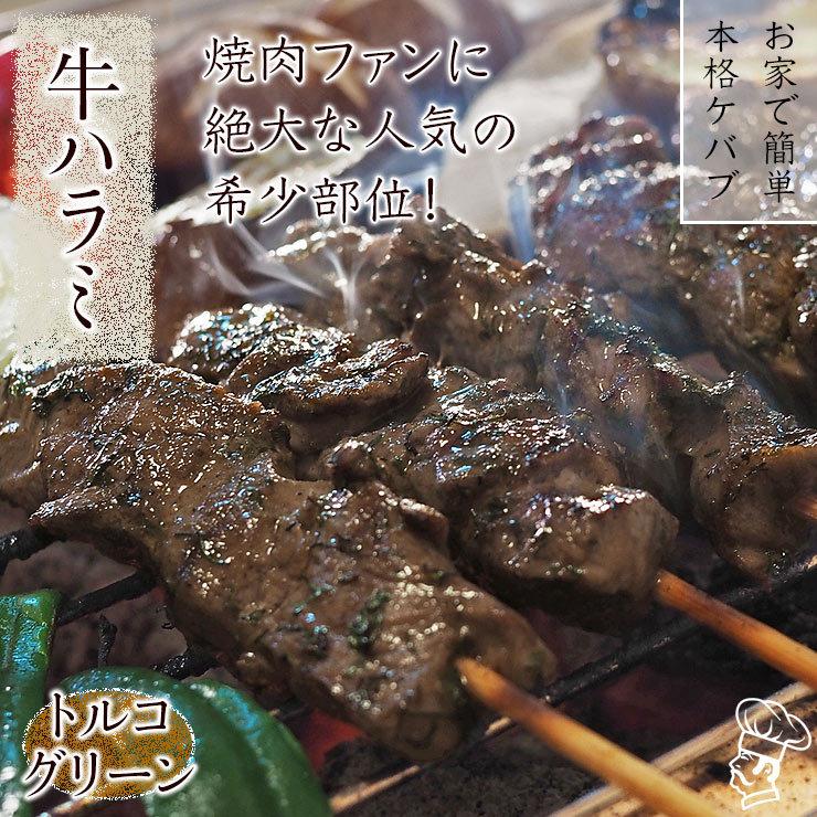 牛串 牛ハラミ トルコグリーン ケバブ 5本 BBQ 焼き肉 バーベキュー 焼鳥 肉 お中元 ギフト 贈り物 生 チルド