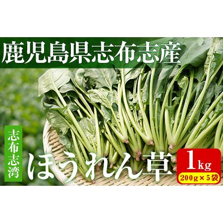 ふるさと納税 p8-102志布志湾ほうれん草(200g×5袋 合計1kg) 鹿児島県志布志市