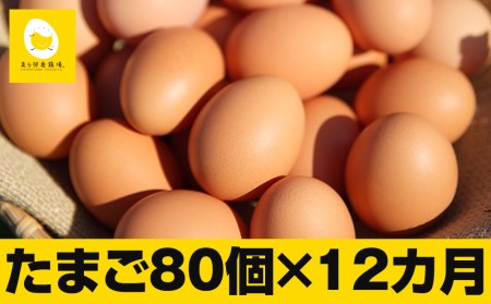 12ヵ月連続お届け　卵の黄身が掴めるほどの新鮮さ　美ら卵養鶏場の卵　各月80個