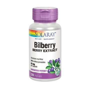Bilberry Berry Extract 120 Veg Caps by Solaray