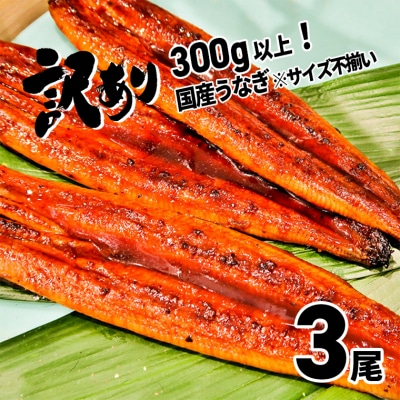 〈2024年03月発送〉さかい河岸水産の国産うなぎ3尾 300g以上! ※サイズ不揃い