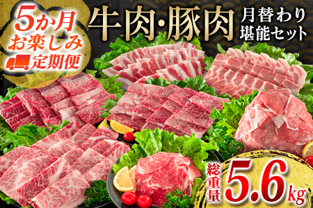 5か月 お楽しみ 定期便 牛肉 豚肉 月替わり 堪能 セット 総重量5.6kg 肉 牛 豚 国産_I25-23-A