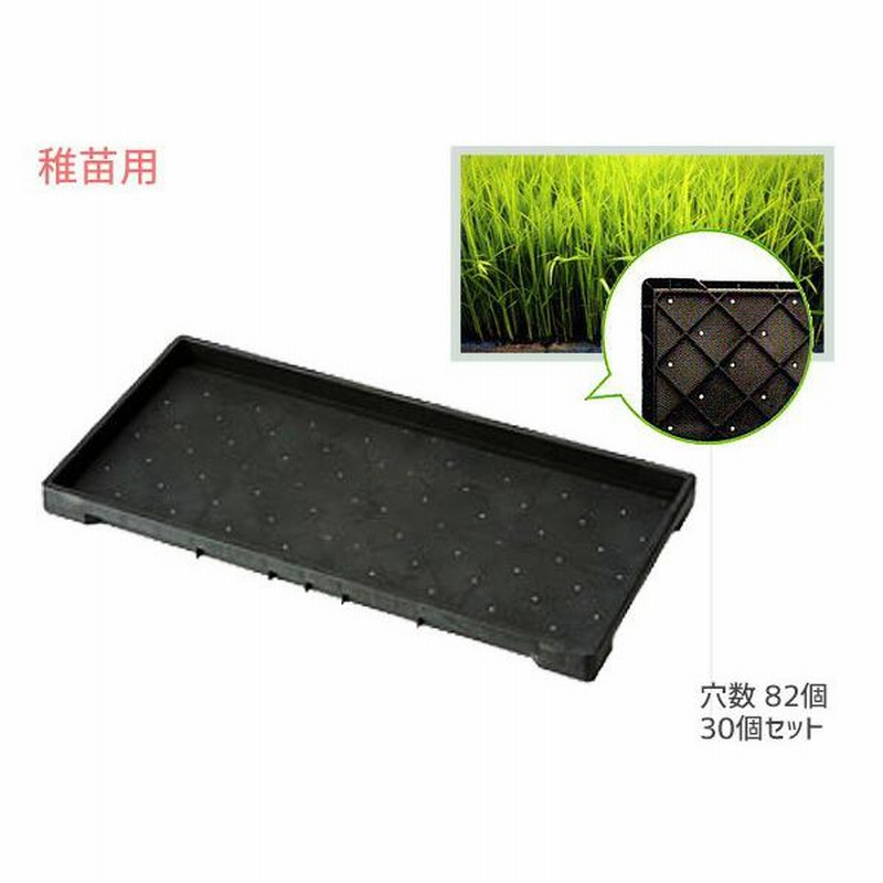 稚苗用 育苗箱 水稲用 82穴 60×30×3.7cm 30個セット 黒 ブラック