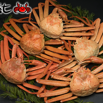 紅ズワイガニ約2kg（4～6尾）