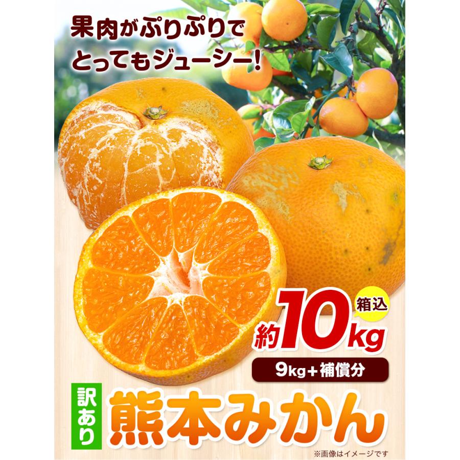 みかん 送料無料 10kg 訳あり 内容量9kg 補償分500g  規格外 サイズ不選別 熊本県産  温州 は大玉傾向 ミカン 蜜柑 ご自宅用 ポイント消化