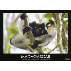 MADAGASCAR?マダガスカル