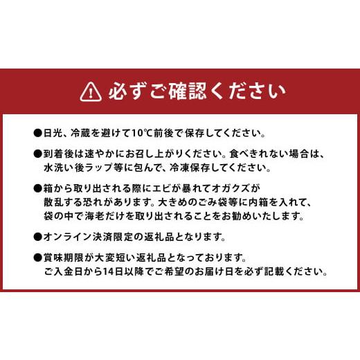 ふるさと納税 熊本県 上天草市 上天草産 活き車えび 1kg(約30〜40尾) 車海老