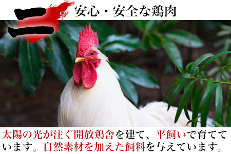 唐津市産 若鳥もも肉むね肉ささみ合計6kgセット 鶏肉 唐揚げ 親子丼 お弁当「2023年 令和5年」