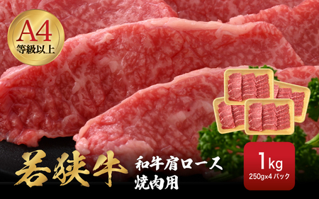 若狭牛 和牛肩ロース焼肉用 計1kg（250g × 4パック）福井県産 肩ロースA4等級 以上を厳選！[e02-d005]