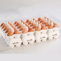 卵の黄身が掴めるほどの新鮮さ　美ら卵養鶏場の卵