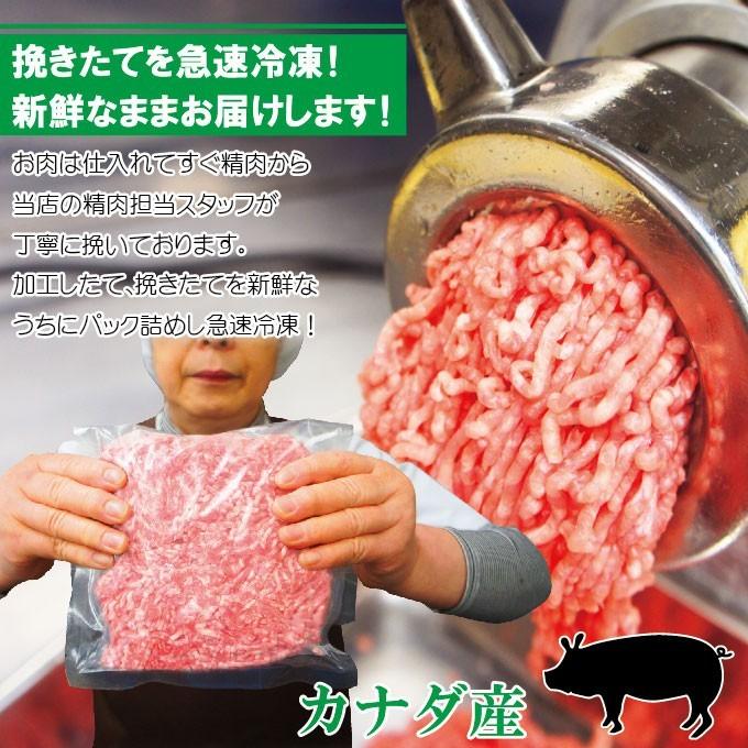 豚挽き肉 カナダ産　500ｇ入冷凍 パラパラミンチではありませんが格安商品 ひき肉 挽肉 挽き肉 豚ミンチ 豚挽肉