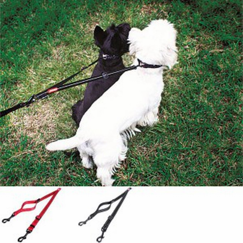 犬 リード Ezydogソフトエクステンションダブル 延長リード 通販 Lineポイント最大1 0 Get Lineショッピング