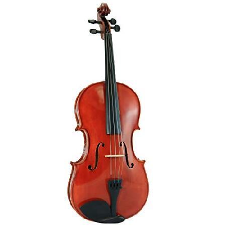 D'Luca PDZ02-16.5 16.5-Inch Orchestral Series Viola Outfit