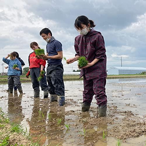 水菜土農園北海道県産 ななつぼし 10kg (5kg×2袋) 令和4年産 御縁米 (縁結び)150g付き