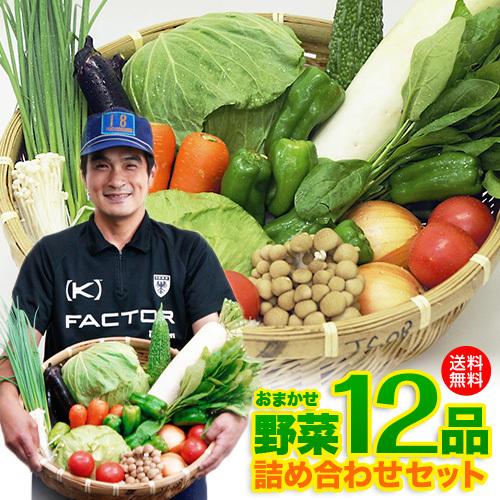 野菜セット 九州産 12品目 詰め合わせ 国産 お試し