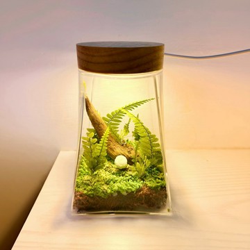 蒔漫花間—森境拾光 永生生態瓶 永生葉材 免澆水 入厝禮