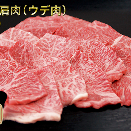 ふるさと納税　飛騨牛 牛肉 焼肉 肩肉 (ウデ)  500g×2 計1kg A5 和牛