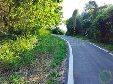 玉井有水有路清優美農地｜台南市玉井區層林