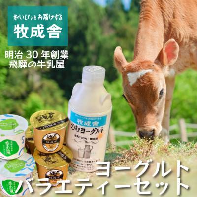 ふるさと納税 飛騨市 飛騨の牛乳屋・牧成舎のヨーグルトバラエティー7点セット