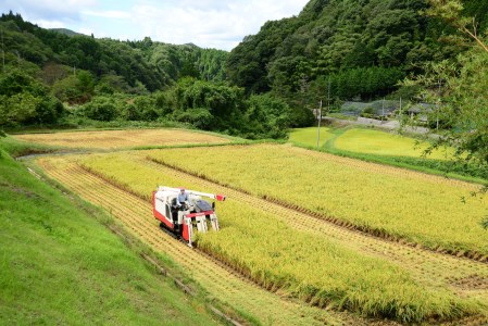  令和5年度 新米 里山新見のめぐみ あきたこまち 10kg(5kg×2袋)6ヶ月連続