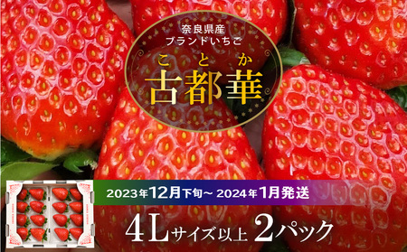 高級いちご「古都華」4Lサイズ以上２パック いちご 高級 古都華 4Lサイズ以上 280g × 2パック 約560g 深みのある濃厚な味わい ほどよい酸味 高い糖度 華やかな香り 美味しく甘い 光沢のある濃いルビー色 フルーツ 果物 宙吊り包装 お取り寄せ 送料無料