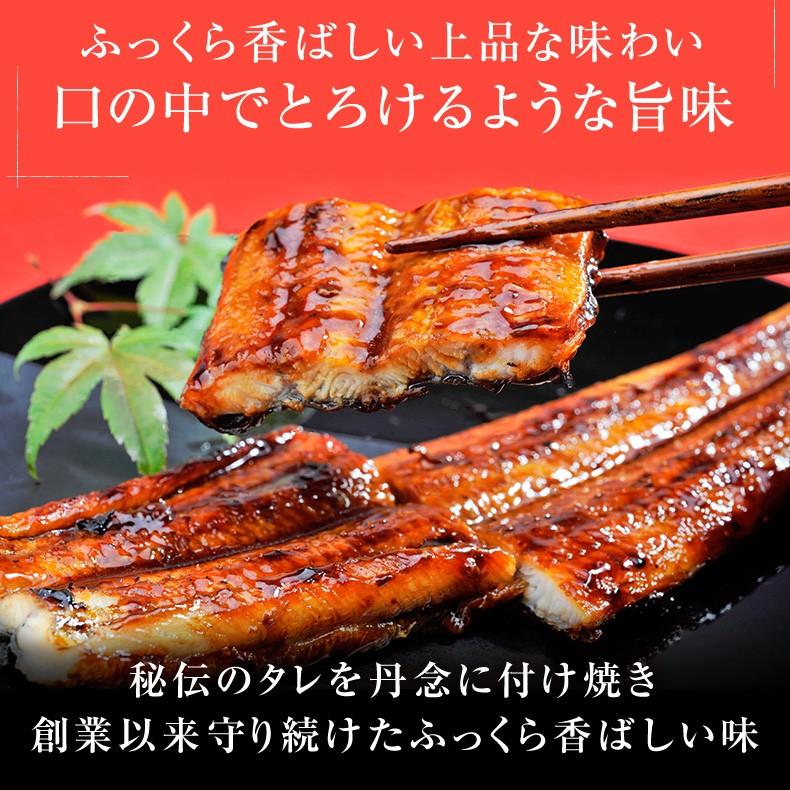 うなぎ 国産 最高級 四万十うなぎ 超特大サイズ 蒲焼き 長焼き 約200g×5尾 プレゼント お歳暮 2023 ギフト  お取り寄せ グルメ 鰻