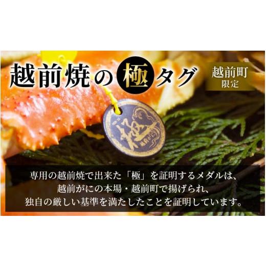 ふるさと納税 福井県 越前町 越前がに本場の越前町からお届け！ 越前がに極 浜茹で × 1杯（生で1.5kg以上） かにの食べ方しおり付き【福井県…