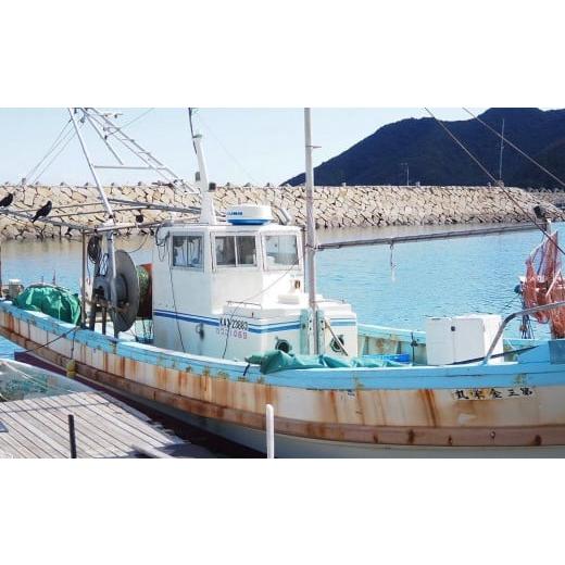 ふるさと納税 香川県 小豆島町 小豆島から直送！朝獲れ鮮魚 旬の地魚詰め合わせ 3.5kg以上