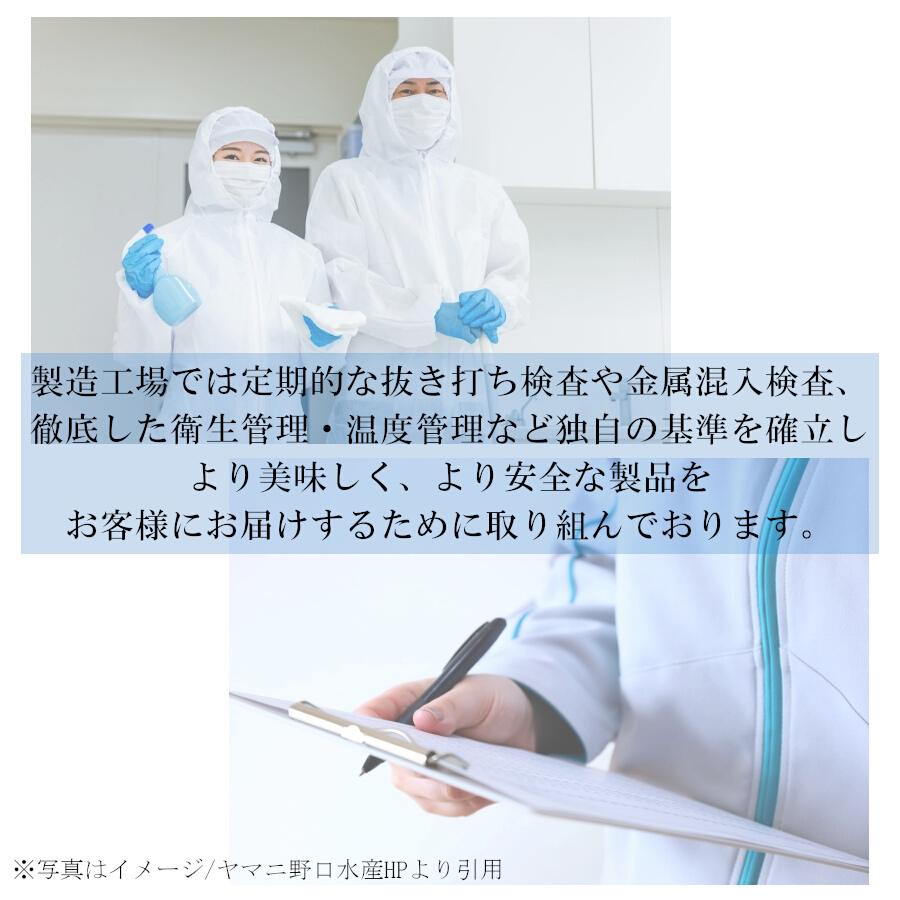 鮭とば ひと口サイズ 500g  送料無料  北海道産 鮭トバ サケトバ 一口 ちっぷ スライス ソフト 訳あり おつまみ お取り寄せグルメ メール便