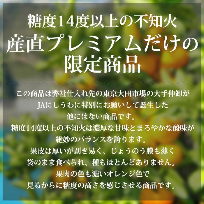 みかん 愛媛県産 濃媛 不知火 しらぬい 糖度14度以上 約2.5kg 7〜11個