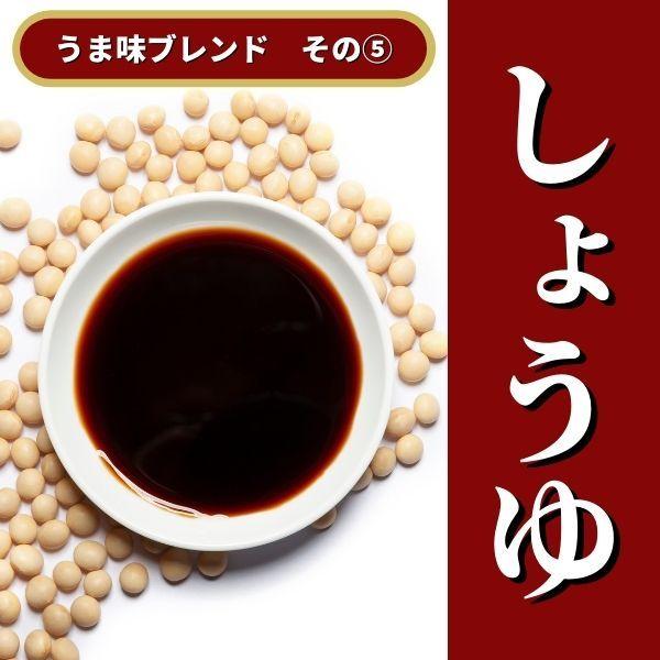 業務用 うま味割烹黒カレー（中辛）1Kg［常温］レトルトカレー