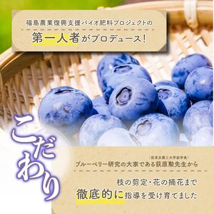 ふるさと納税 東京農工大学名誉教授「横山　正」ブランドのブルーベリー冷凍果実2パックセット（品種おまかせ） 福島県二本松市