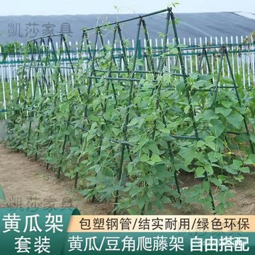 豆角黃瓜架 爬藤架 種菜專用架子 包塑鋼管園藝支架 植物爬藤架 花架 置物架  菜架 果樹架 園藝植作