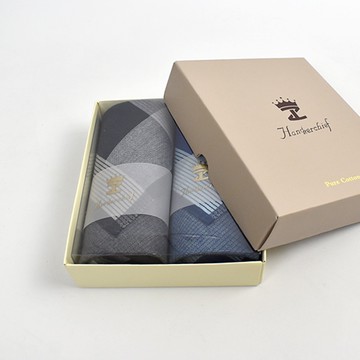 男用手帕 細直線條禮盒組二入【NZG72】