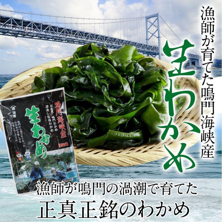 わかめ 生わかめ 国産 200g 鳴門海峡 鳴門わかめ 塩わかめ 徳島 生 ワカメ 国産わかめ 塩蔵わかめ 塩蔵ワカメ 海藻サラダ 美味しいもの