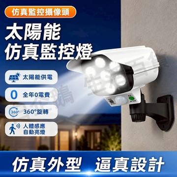 台灣現貨🌞太陽能感應燈 太陽能仿真監控燈 太陽能照明燈 仿真庭院燈 監控防賊防盜燈 LED感應燈 太陽能燈 太陽能壁燈