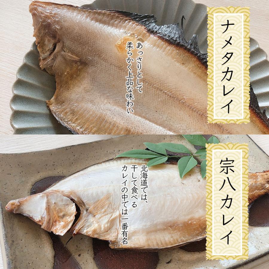 ギフト 稚内名産！北海道のこだわり干物 食べ比べBセット 全6種6パック[ホッケ・縞ホッケ・ニシン・こまい・宗谷カレイ・ナメタカレイ]