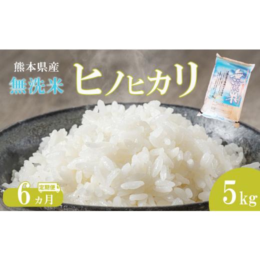 ふるさと納税 熊本県 玉名市  無洗米 ひのひかり 5kg 熊本県産
