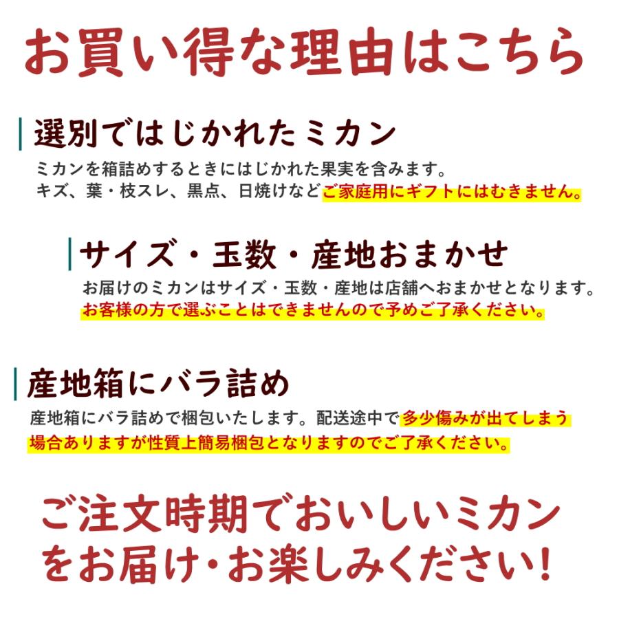 送料無料　訳あり　温州みかん　約4.5kg バラ詰め　※みかん、ミカン、蜜柑、家庭用、訳あり