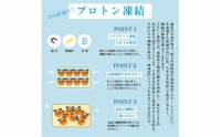 天然 本まぐろ ネギトロ セット ネギトロ 300g 海の宝石 ちりめん海鮮丼本マグロ 2袋 特典付き プロトン冷凍 解凍レシピ付