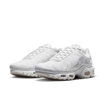 NIKE 慢跑鞋 男鞋 運動鞋 緩震 AIR MAX PLUS 白 AJ2029-100