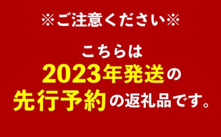 ワイズ農園の完熟マンゴー秀約4kg 美味しさ、驚き、夢のマンゴー