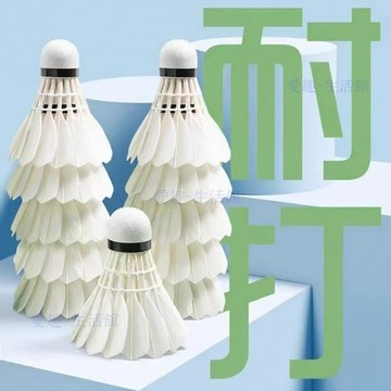 【臺灣-出貨】羽毛球耐打💖防風耐打3/6/12只裝室內羽毛學生室外比賽訓練用球06V7